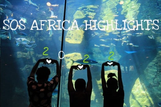2022 Charity Highlights: 100% Pass Rates Internships Graduations