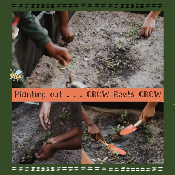 Earth and Heart - South African Charity Children Gardening Project
