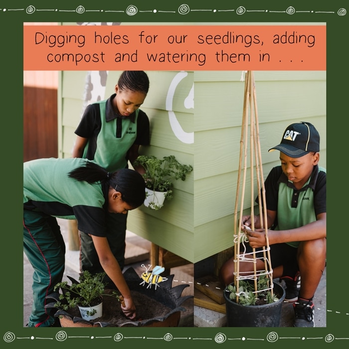 Earth and Heart - South African Charity Children Gardening Project