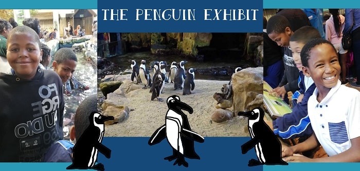 SOS Africa Charity Children Visit The Two Oceans Aquarium in Cape Town