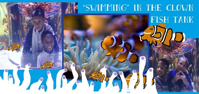 SOS Africa Charity Children Visit The Two Oceans Aquarium in Cape Town