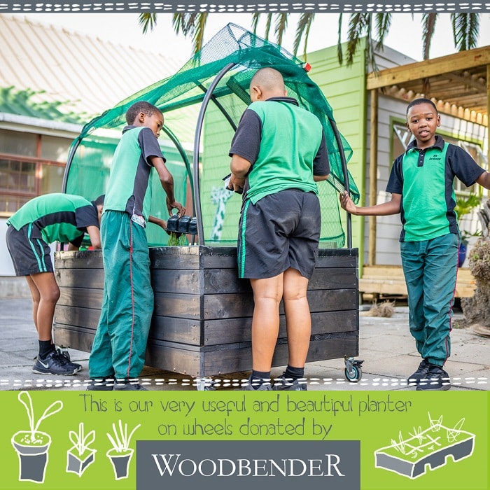 Growing Vegetables for the First Time: South African Children Gardening Projects