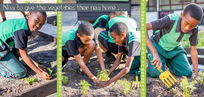 Growing Vegetables for the First Time: South African Children Gardening Projects