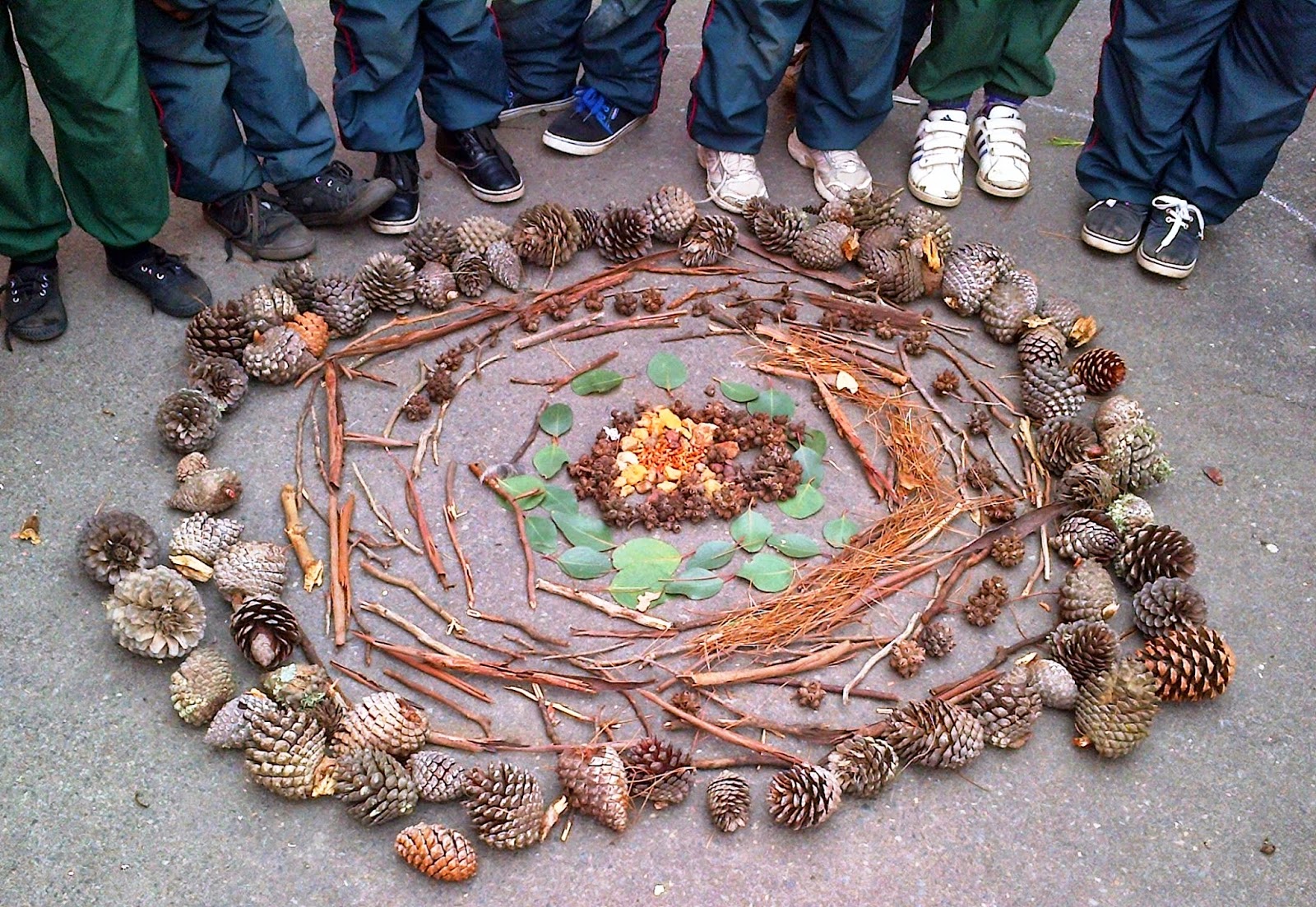 Learning from Nature, Growing and Understanding the World
