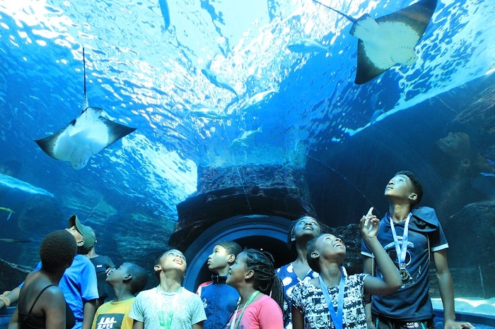 A Holistic Approach to the Education of Children in Africa | Inspiring Outings