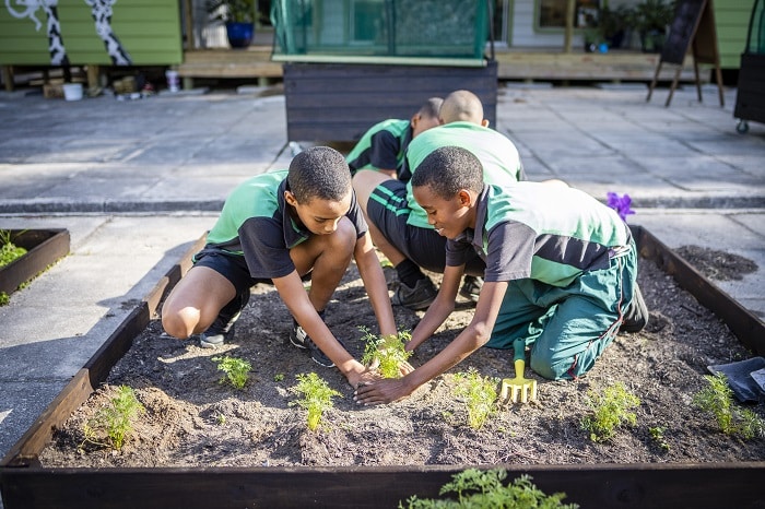 Grabouw Charity Education Programme - Gardening Projects